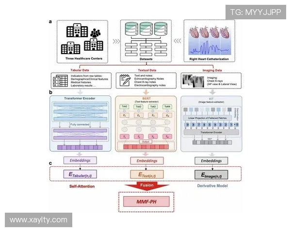 广州滑板队力量表现数据分析揭示运动员潜力与训练效果的深度关系