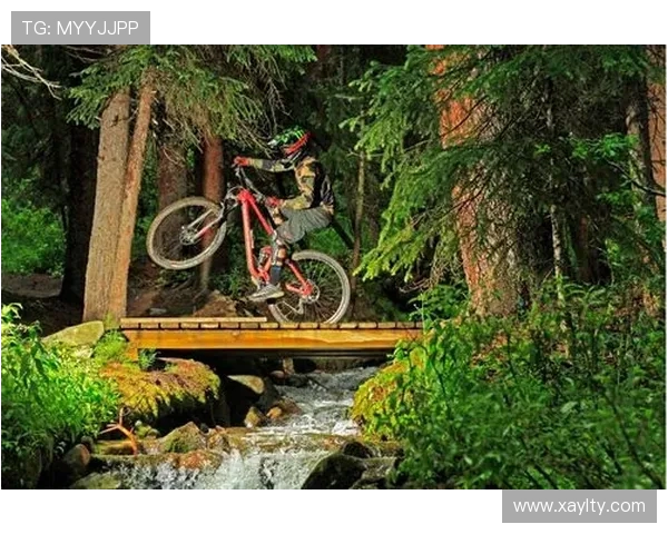 极限运动战术探秘：武汉极限运动队的高效控制与协作体系分析